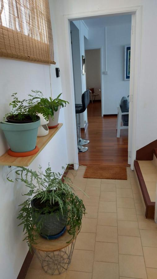 Tropical Palms Mauritius Apartment *